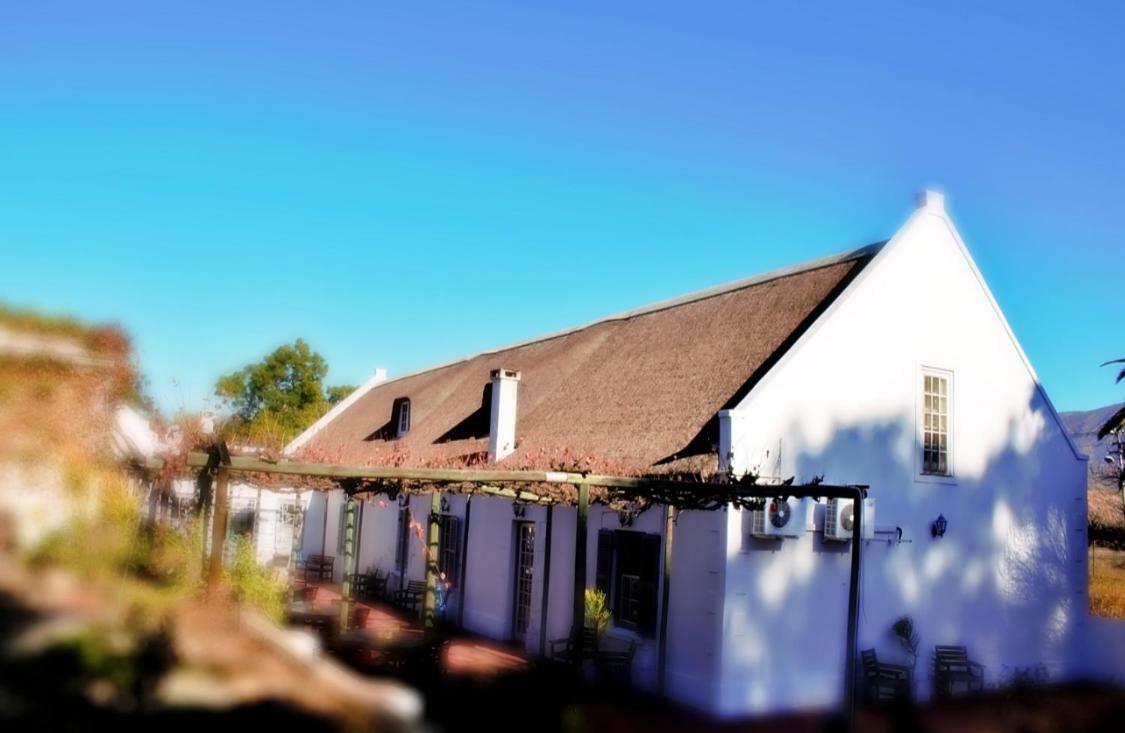 Port Wine Guest House Calitzdorp Luaran gambar